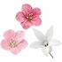 Wilton Flower Stamen Assortiment, 180st.